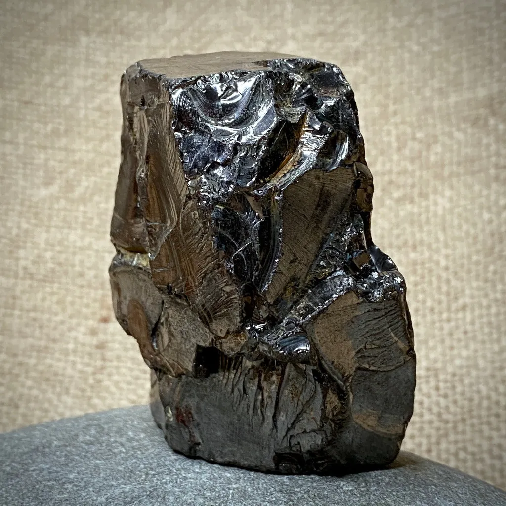 Elite Shungite Nugget 132g on Mahogany Wood Stand