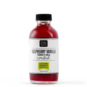 Raspberry Vanilla Syrup